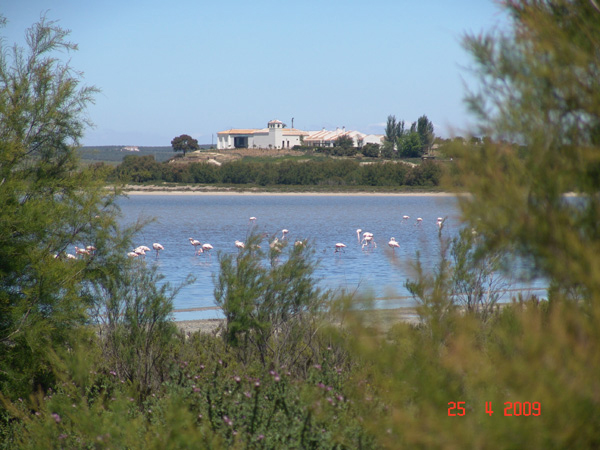 Aussichtspunkt-Laguna-Fuente-de-Piedra